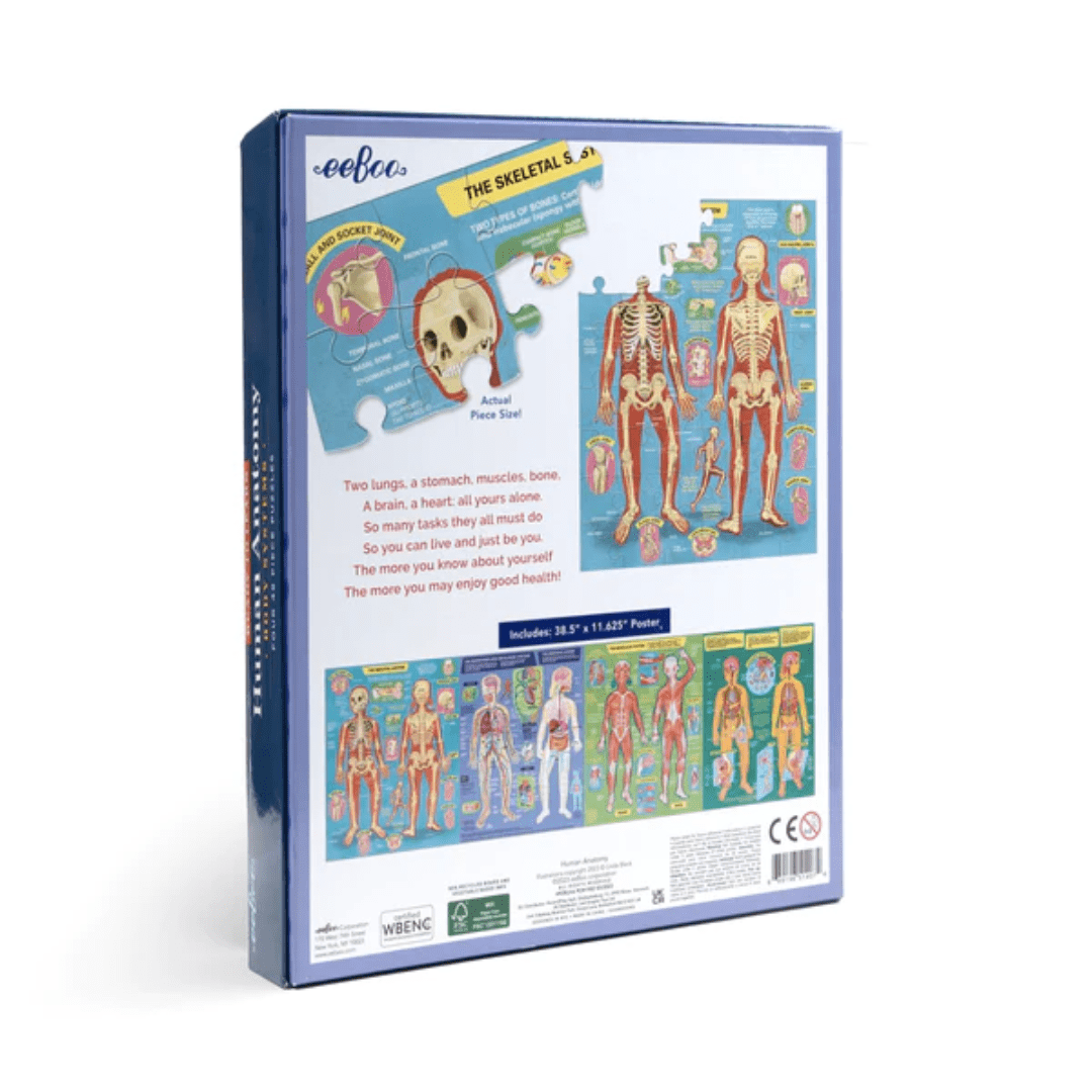 Back-Of-Box-Eeboo-Ready-To-Learn-Puzzles-Human-Anatomy-Naked-Baby-Eco-Boutique