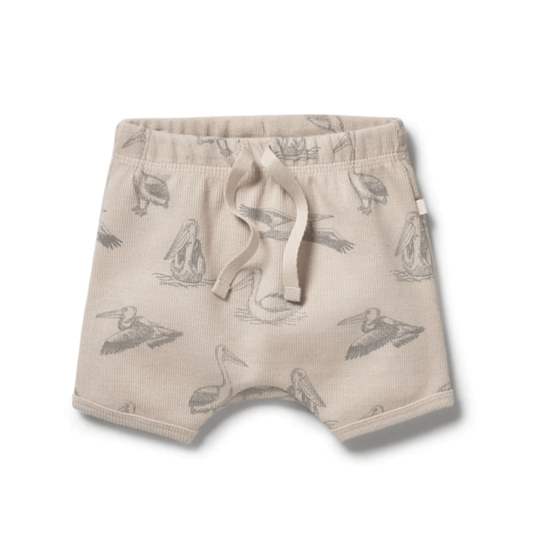 Wilson-And-Frenchy-Organic-Rib-Tie-Front-Shorts-Little-Pelican-Naked-Baby-Eco-Boutique