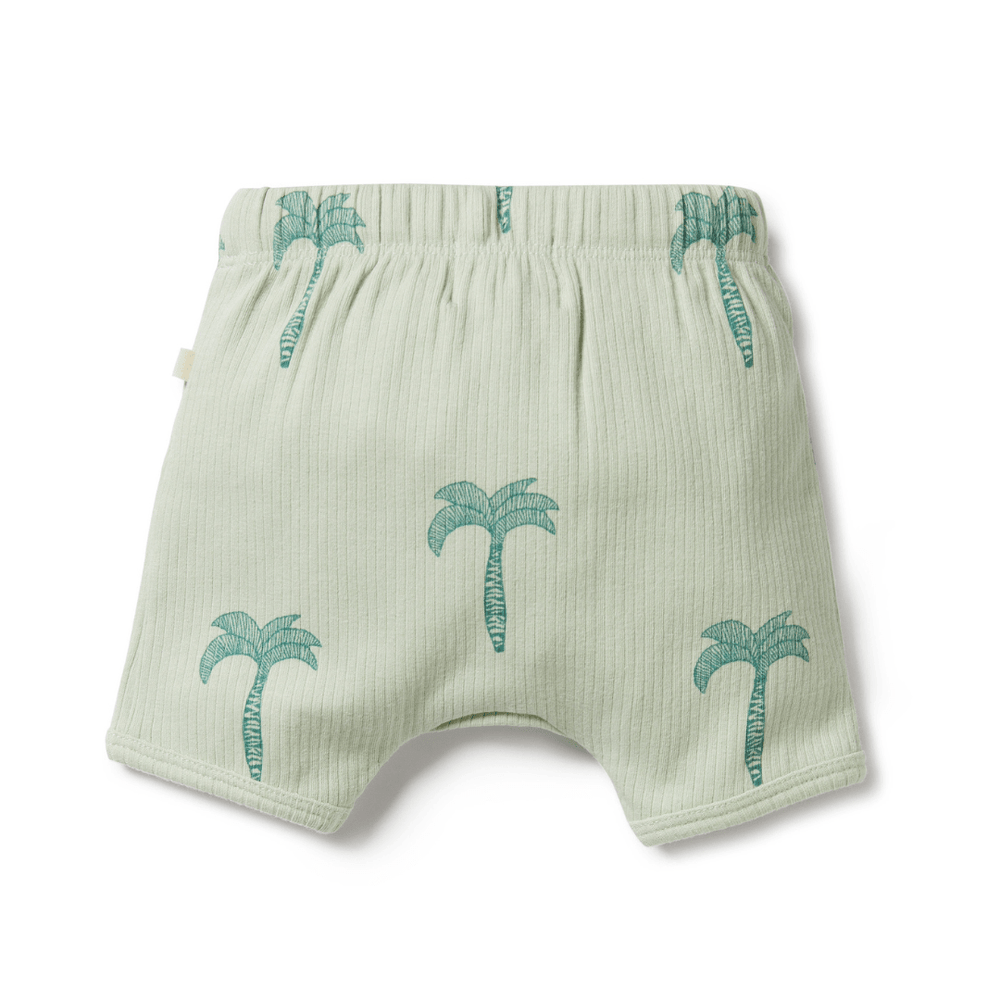 Wilson & Frenchy Organic Palm Tree Rib Shorts featuring cute palm tree print.