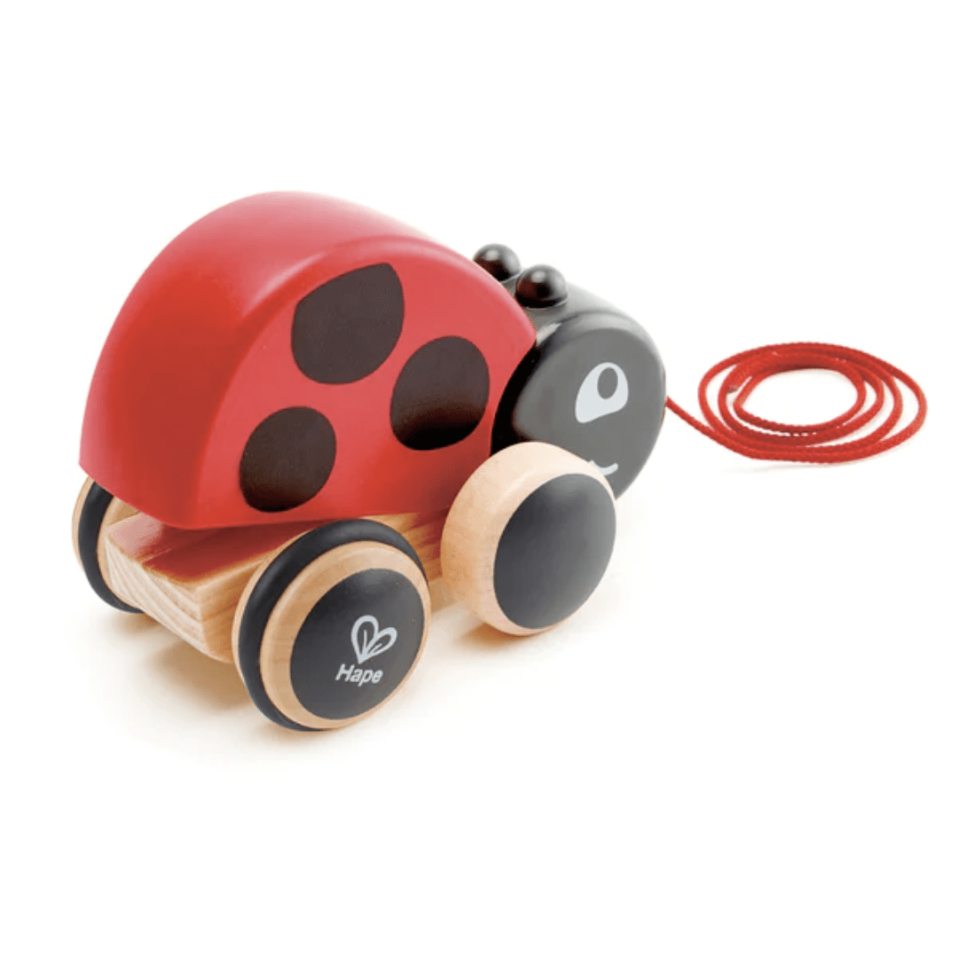 Back-View-Of-Hape-Pull-Along-Toy-Ladybug-Naked-Baby-Eco-Boutique