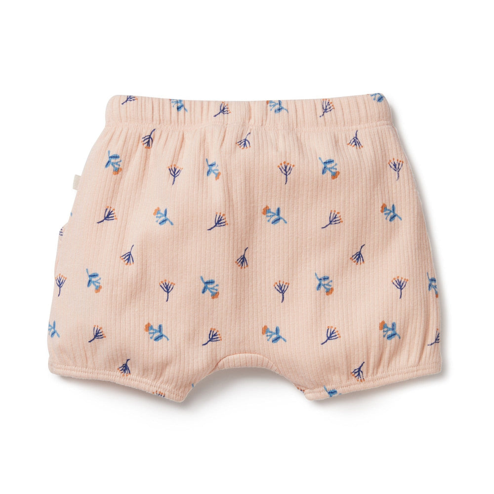 Wilson & Frenchy Little Flower Organic Rib Bloomer Shorts from Wilson & Frenchy with an adjustable waistband.