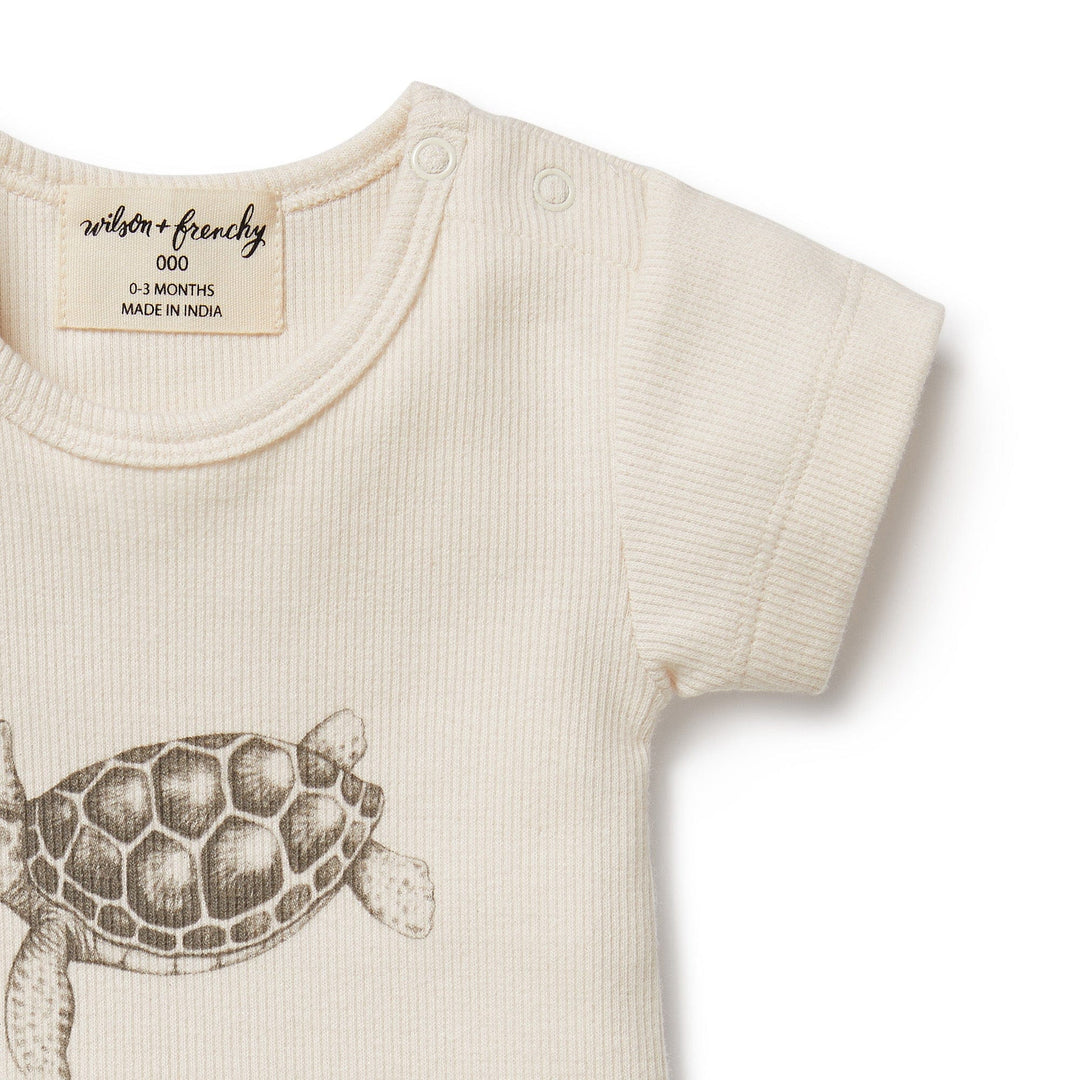 A sustainable and organic Wilson & Frenchy Rib Organic Tee (Multiple Variants) with a turtle on it.