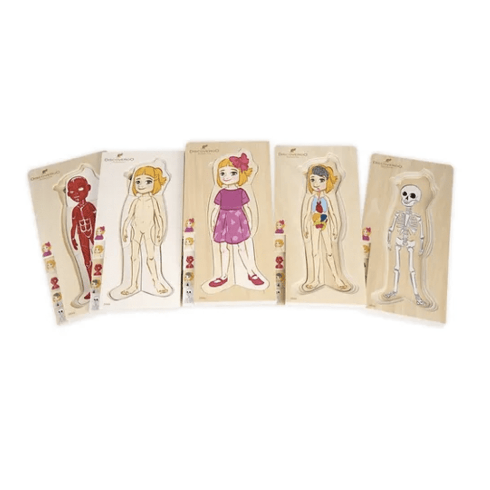 Discoveroo-Body-Layer-Wooden-Puzzle-Girl-Layers-Naked-Baby-Eco-Boutique