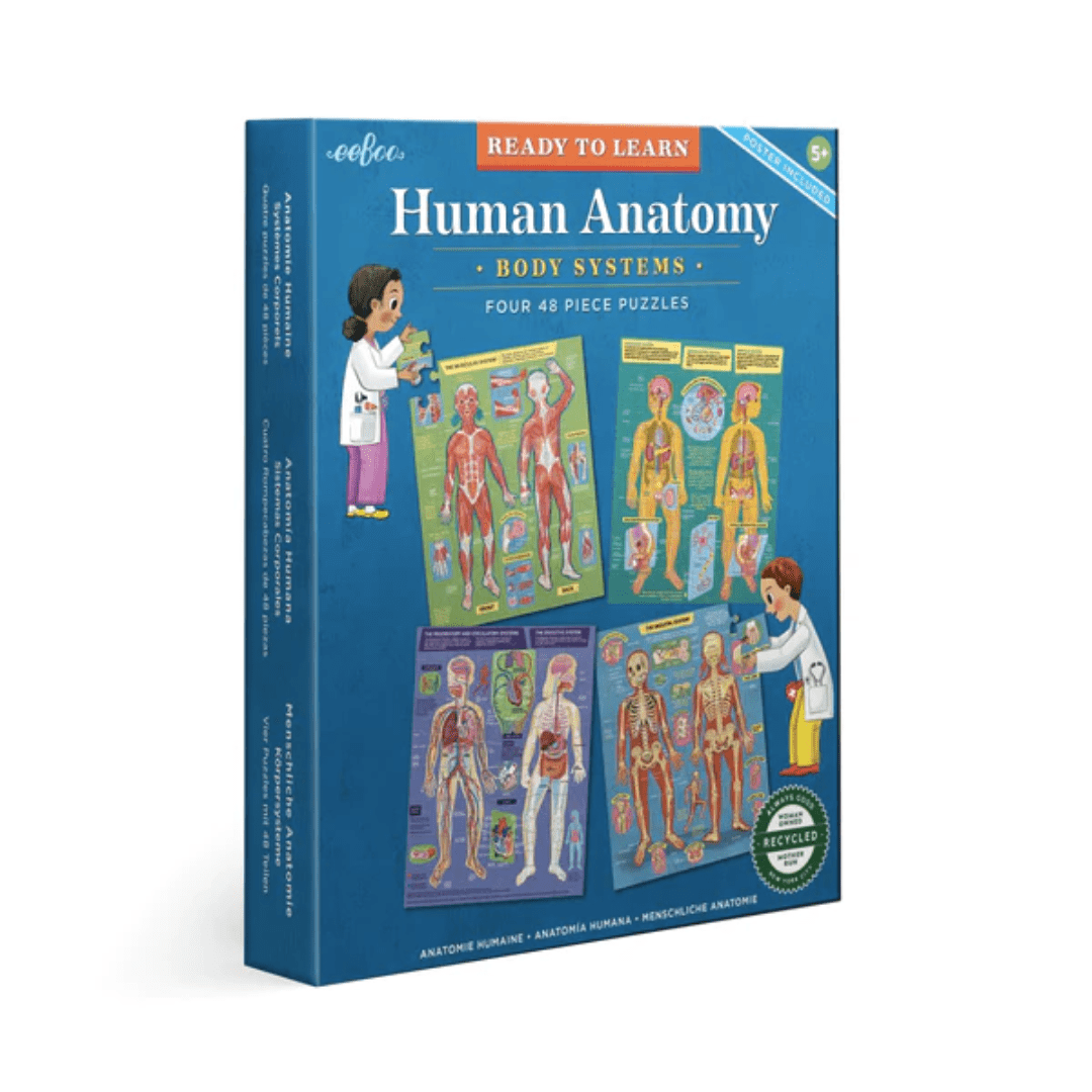 Eeboo-Ready-To-Learn-Puzzles-Human-Anatomy-Naked-Baby-Eco-Boutique