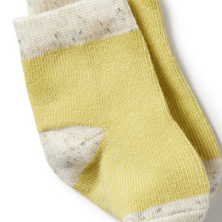 Endive-Socks-In-Wilson-And-Frenchy-Organic-Baby-Socks-3-Pack-Endive-Bluebell-Blue-Naked-Baby-Eco-Boutique