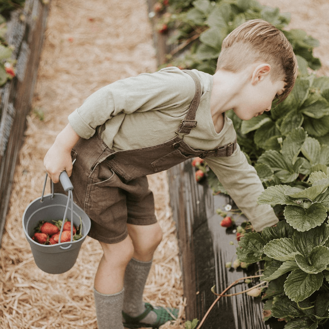 A young boy picking strawberries with the Classical Child Silicone Sand Set from Classical Child in an eco-friendly farm.