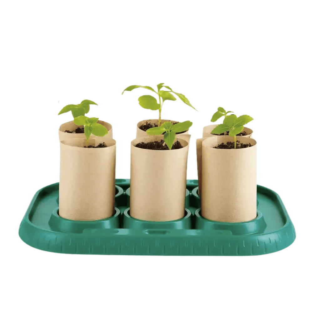Little-Seedlings-In-Hape-Growing-Gardeners-Greenhouse-Naked-Baby-Eco-Boutique