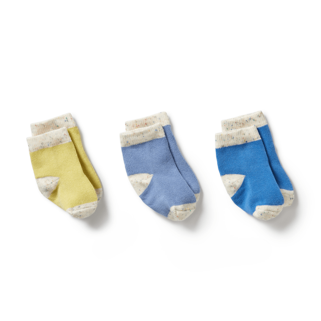 Wilson-And-Frenchy-Organic-Baby-Socks-3-Pack-Endive-Bluebell-Blue-Naked-Baby-Eco-Boutique