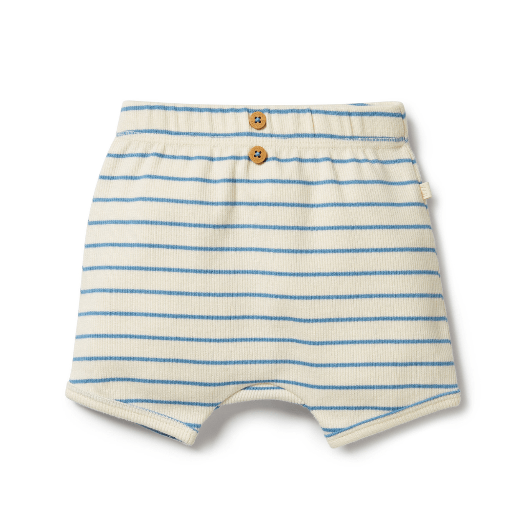 Wilson & Frenchy Organic Rib Stripe Shorts with an elastic waistband.