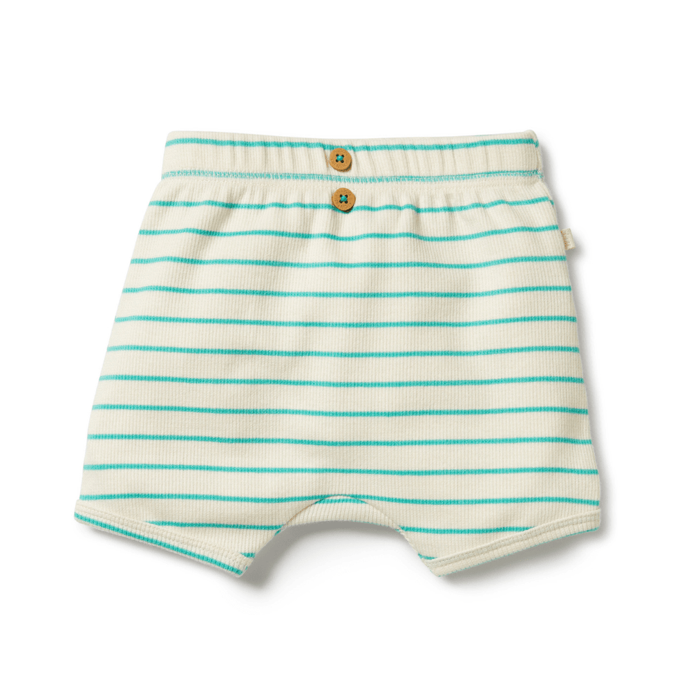 Wilson & Frenchy Organic Rib Stripe Shorts with an elastic waistband in white and turquoise stripes.