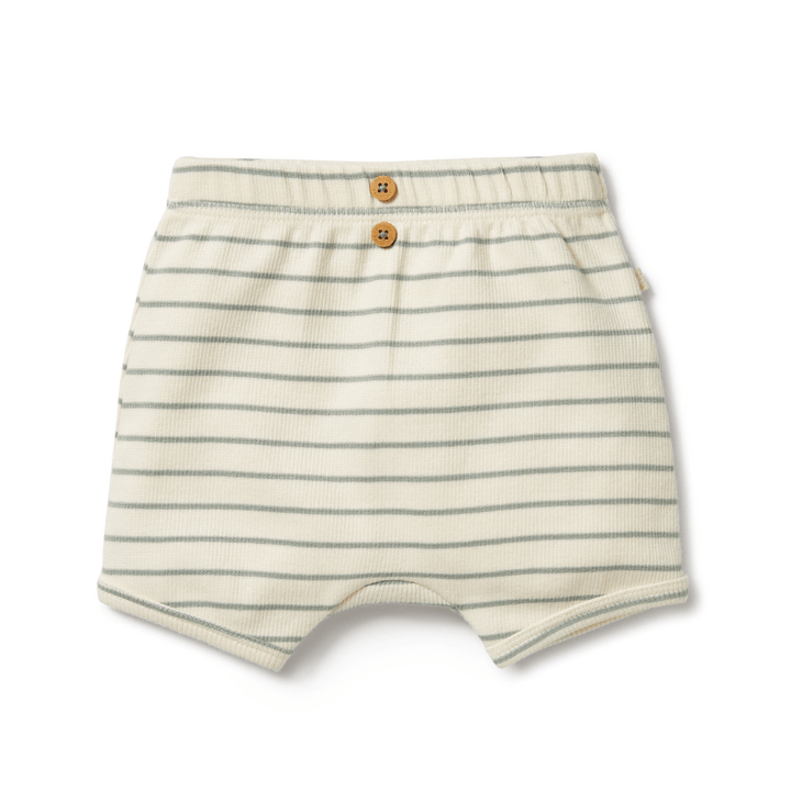 A baby boy's Wilson & Frenchy Organic Rib Stripe Shorts with an elastic waistband in beige and grey.