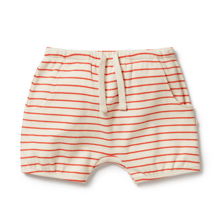 Wilson & Frenchy Organic Rib Stripe Kids Bloomer Shorts for babies with a red and orange stripe, made from GOTS-certified organic cotton. (Product Name: Wilson & Frenchy Organic Rib Stripe Kids Bloomer Shorts) (Brand Name: Wilson & Frenchy)