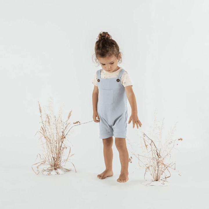 Aster-And-Oak-Organic-Cotton-Pirate-Map-Tee-With-Overalls-Naked-Baby-Eco-Boutique