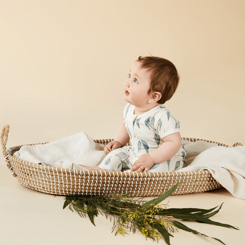 Baby-in-Basket-Wearing-Wilson-and-Frenchy-Organic-Zipsuit-Blue-Eucalyptus-Naked-Baby-Eco-Boutique