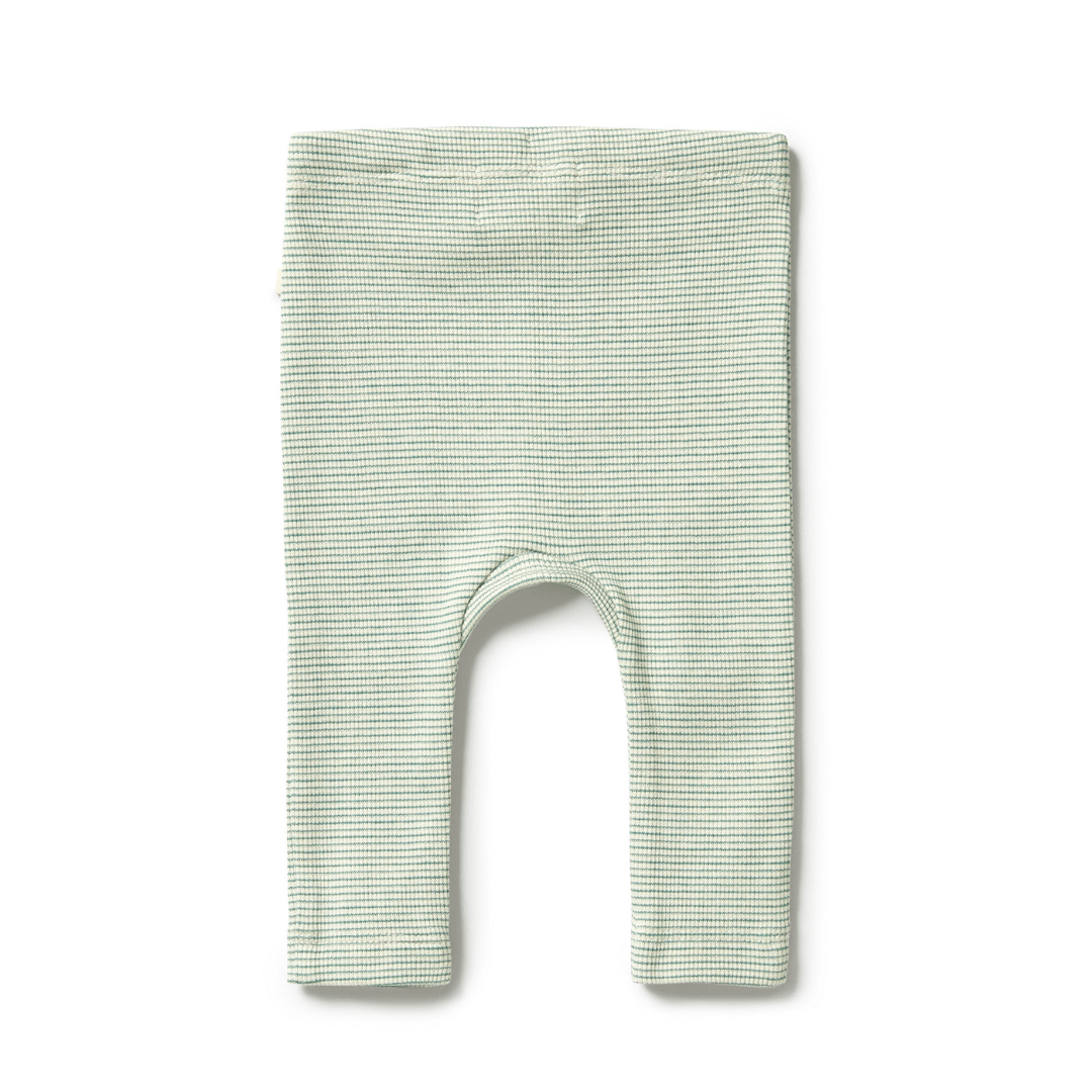 Back-Of-0Wilson-And-Frenchy-Organic-Stripe-Rib-Legging-Deep-Sea-Naked-Baby-Eco-Boutique