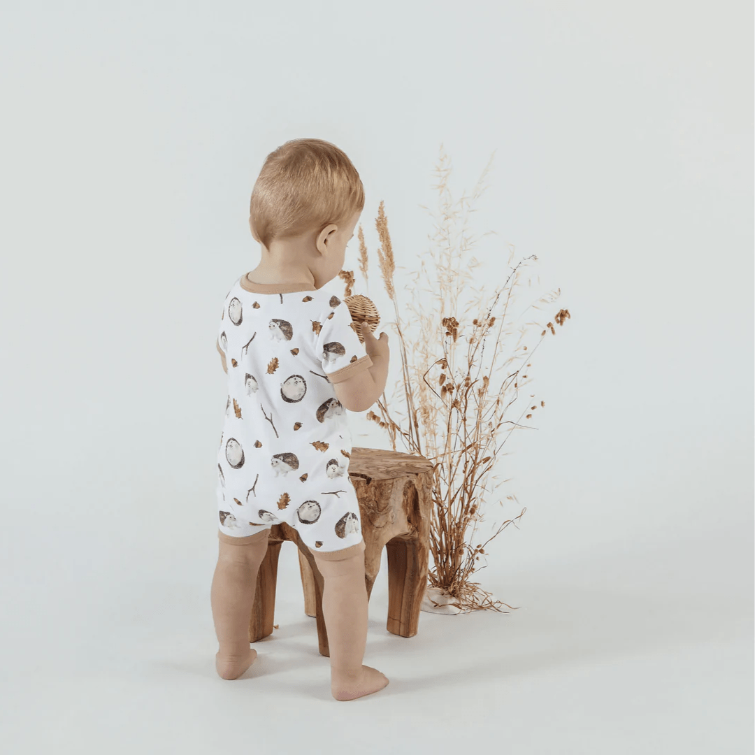 Aster & Oak Organic Cotton Zip Romper (Multiple Variants) - Naked Baby Eco Boutique
