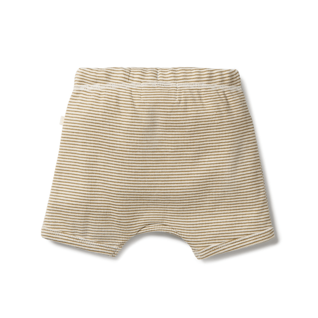 Back-Of-Wilson-And-Frenchy-Organic-Rib-Stripe-Shorts-Leaf-Stripe-Naked-Baby-Eco-Boutique