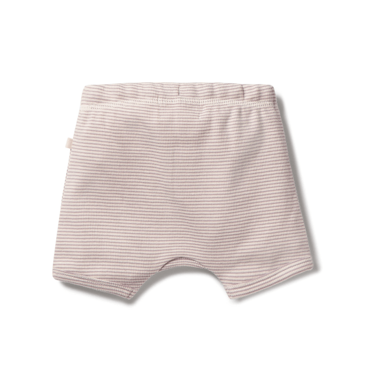 Back-Of-Wilson-And-Frenchy-Organic-Rib-Stripe-Shorts-Plum-Stripe-Naked-Baby-Eco-Boutique