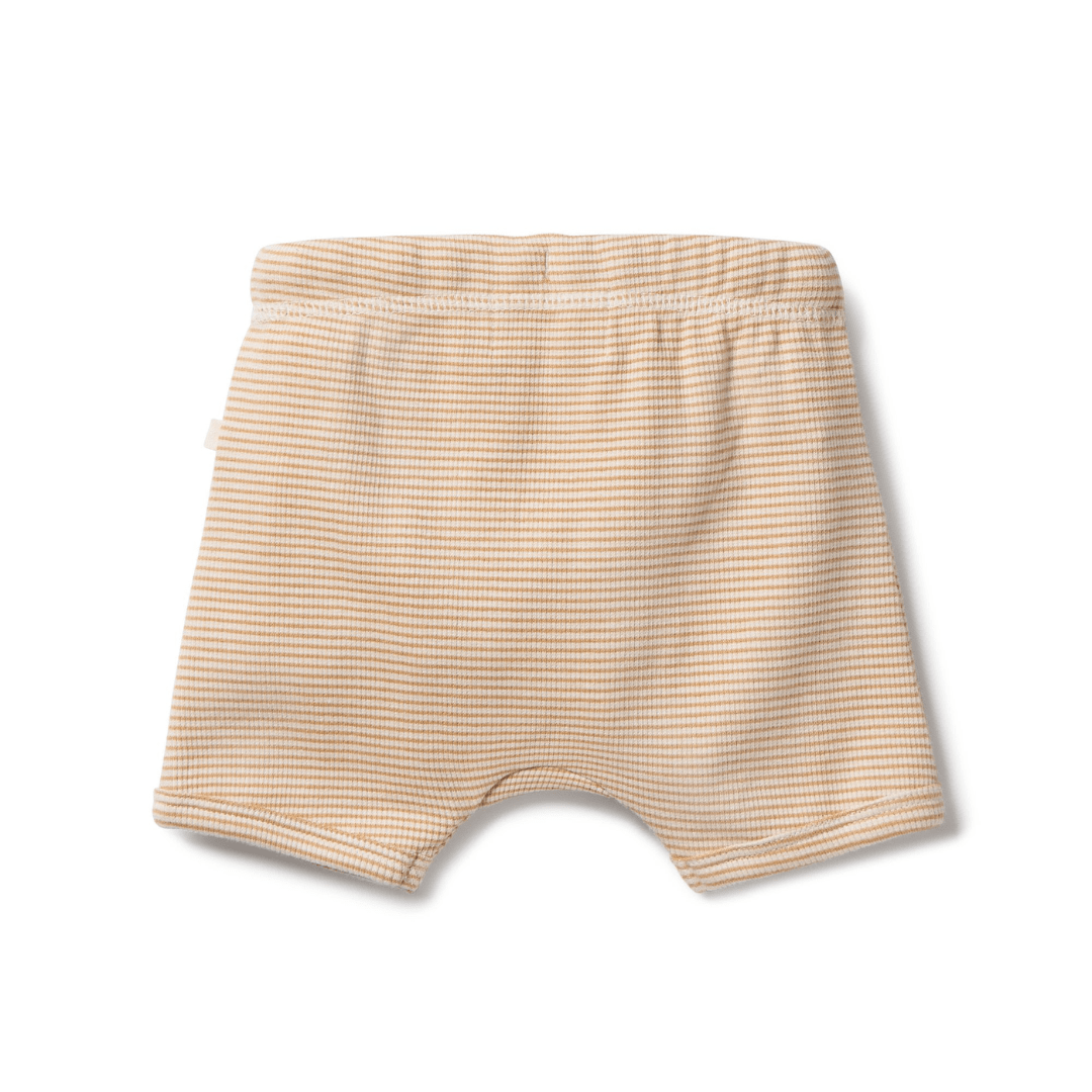 Back-Of-Wilson-And-Frenchy-Organic-Rib-Stripe-Shorts-Toffee-Stripe-Naked-Baby-Eco-Boutique