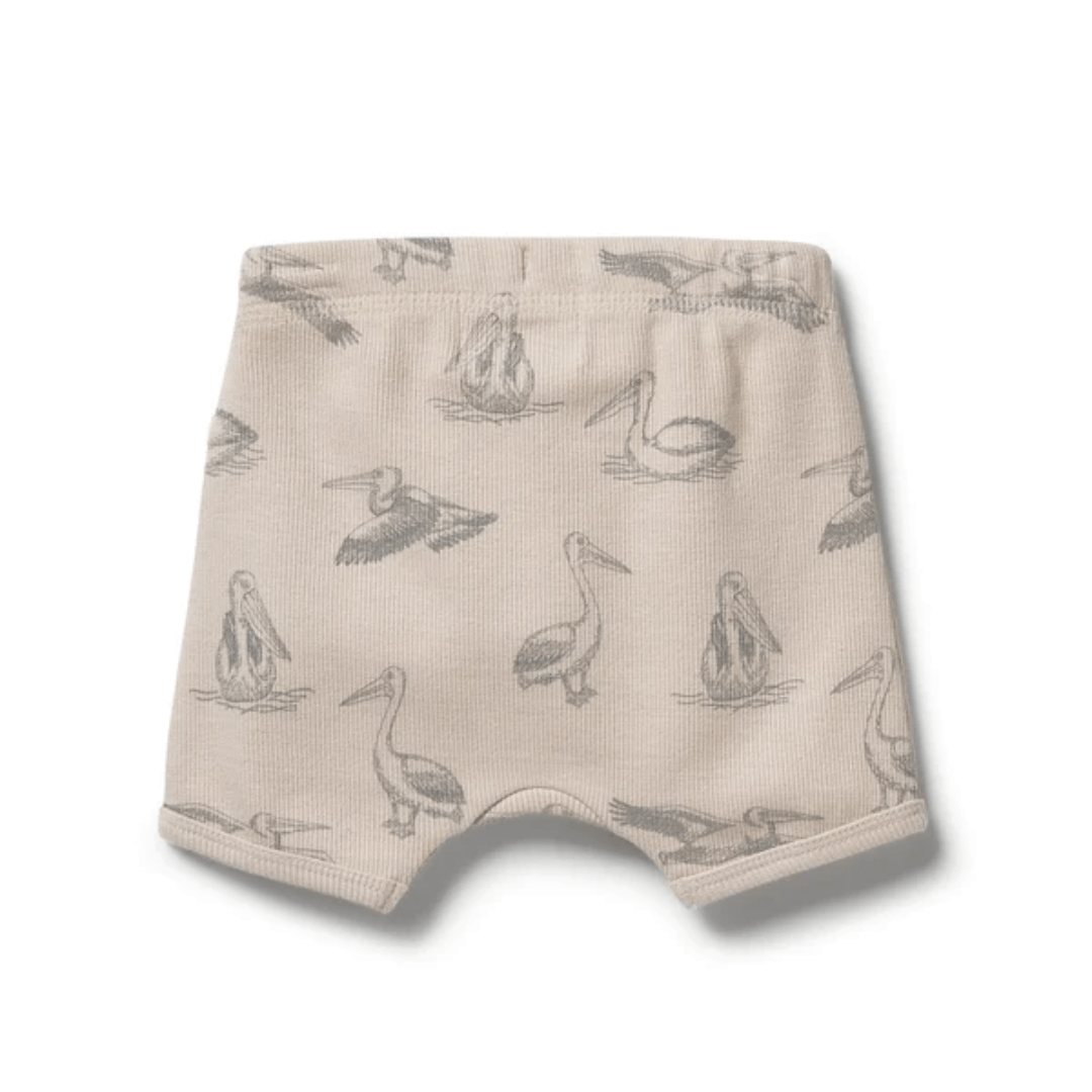 Back-Of-Wilson-And-Frenchy-Organic-Rib-Tie-Front-Shorts-Little-Pelican-Naked-Baby-Eco-Boutique