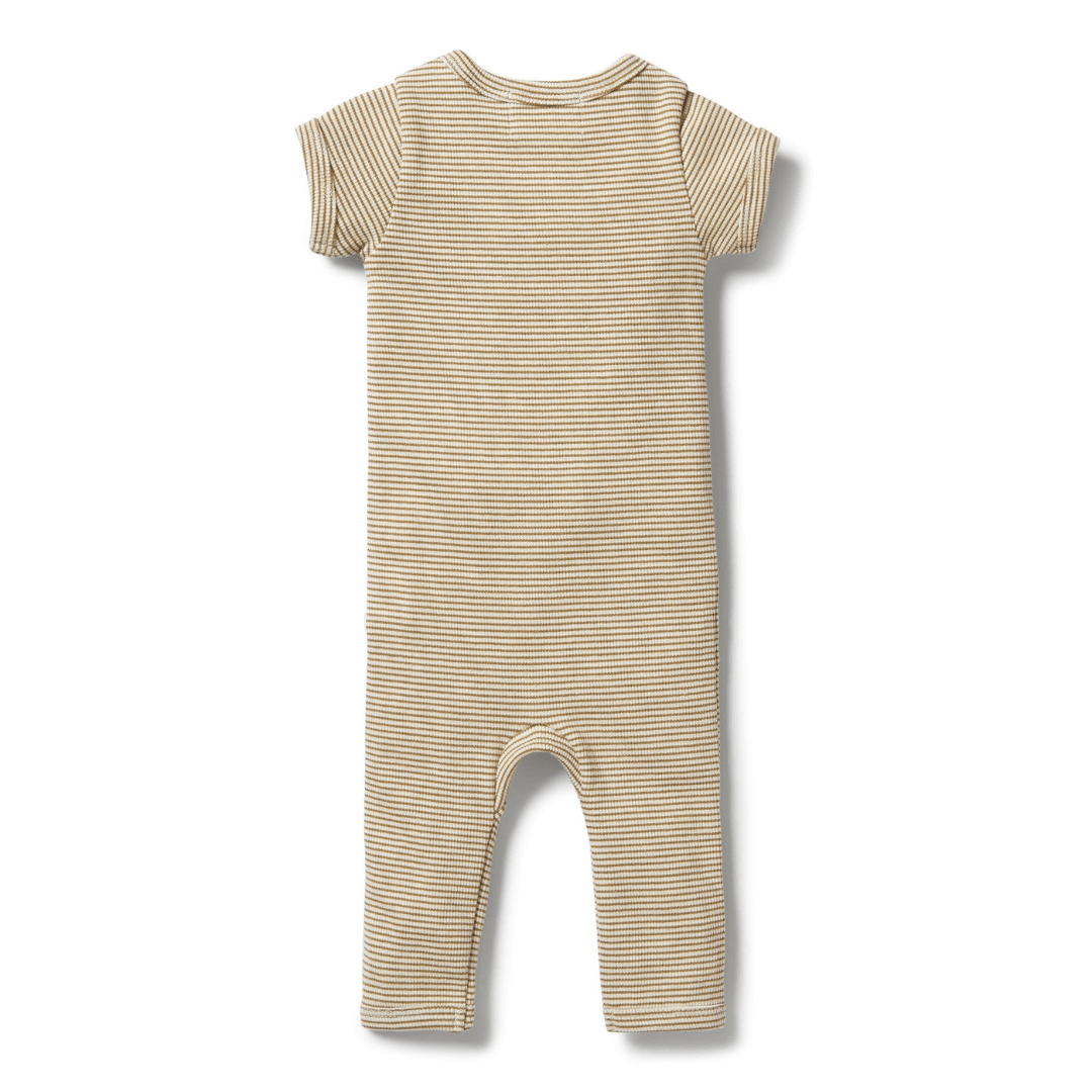 Back-Of-Wilson-And-Frenchy-Organic-Stripe-Rib-Zipsuit-Leaf-Stripe-Naked-Baby-Eco-Boutique