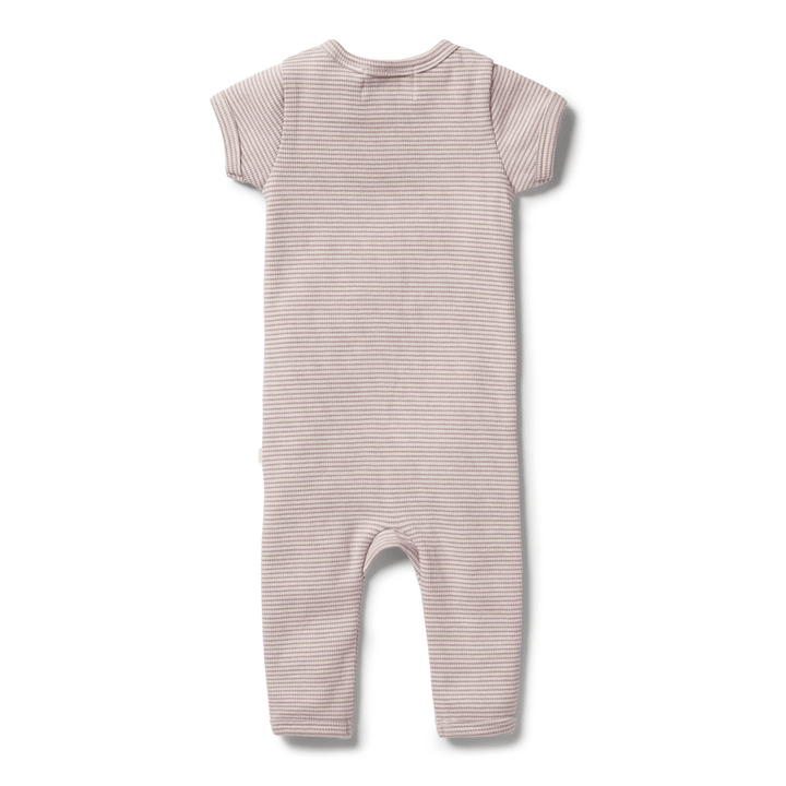 Back-Of-Wilson-And-Frenchy-Organic-Stripe-Rib-Zipsuit-Plum-Stripe-Naked-Baby-Eco-Boutique