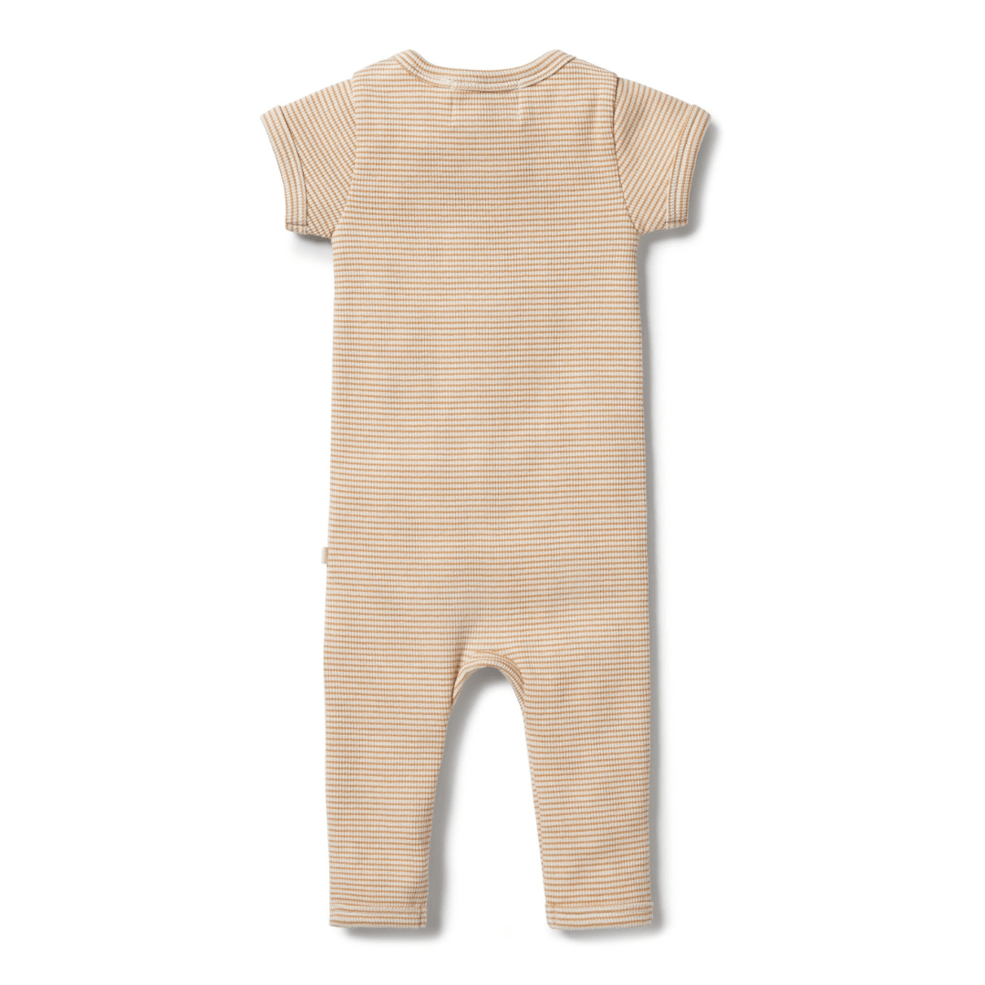 Back-Of-Wilson-And-Frenchy-Organic-Stripe-Rib-Zipsuit-Toffee-Stripe-Naked-Baby-Eco-Boutique
