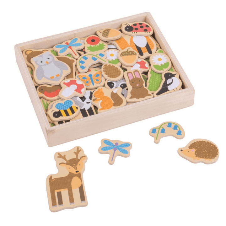BigJigs Wooden Magnets (Multiple Variants) - Naked Baby Eco Boutique