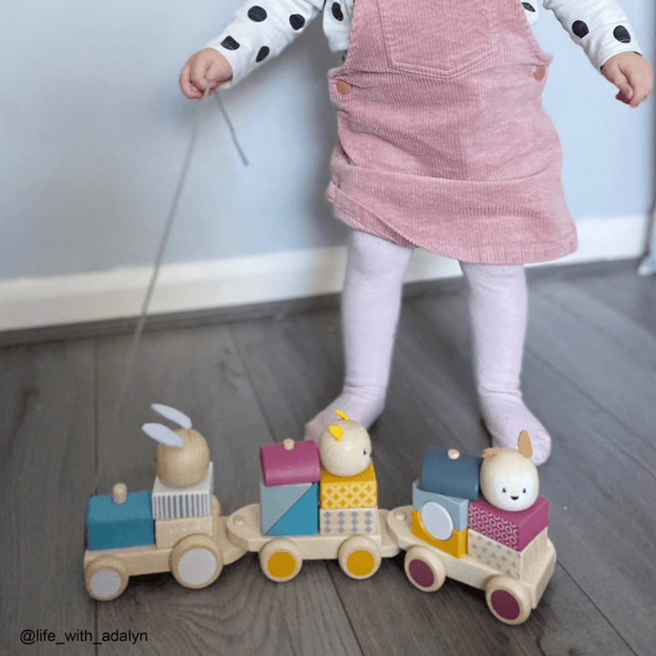 BigJigs Wooden Activity Pull Along Train - Naked Baby Eco Boutique