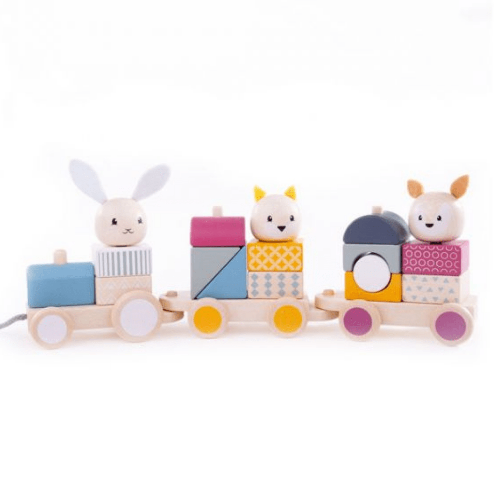    Bigjigs-Wooden-Activity-Pull-Along-Train-Train-Set-Up-Naked-Baby-Eco-Boutique