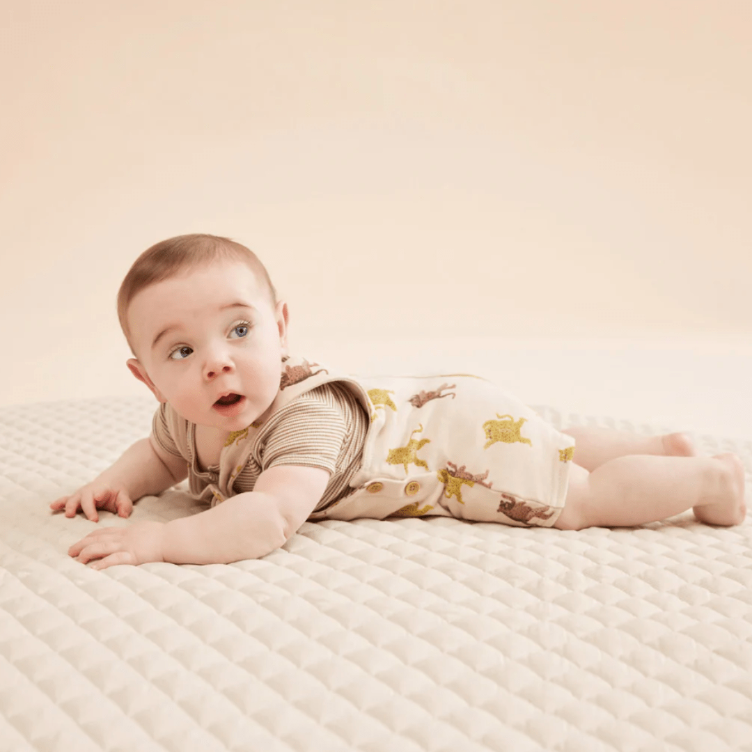 Cute-Baby-Lying-on-Tummy-Wearing-Wilson-and-Frenchy-Organic-French-Terry-Overalls-Roar-Naked-Baby-Eco-Boutique