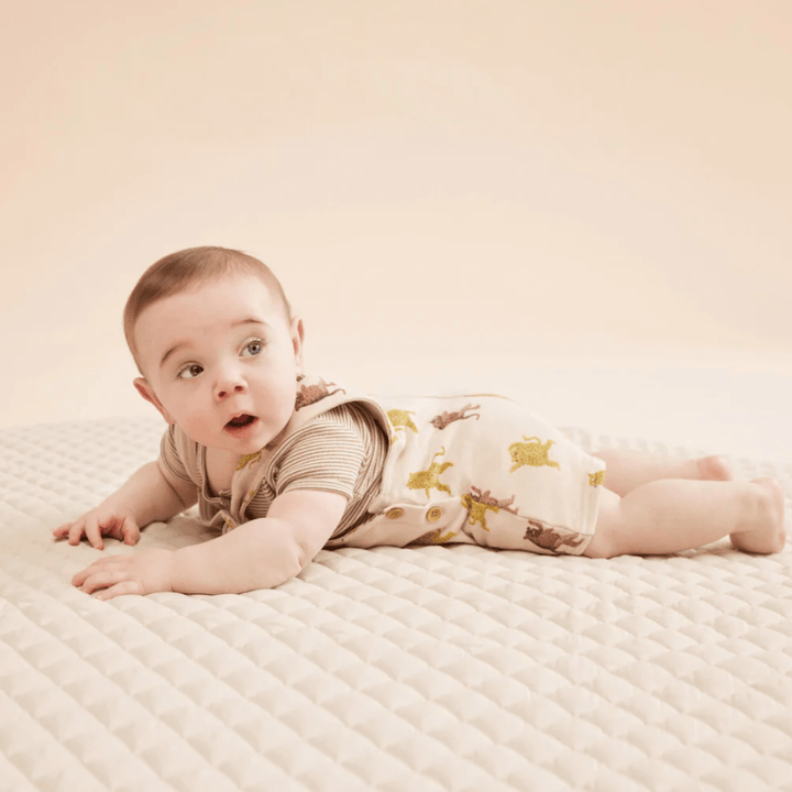 Cute-Baby-Lying-on-Tummy-Wearing-Wilson-and-Frenchy-Organic-French-Terry-Overalls-Roar-Naked-Baby-Eco-Boutique