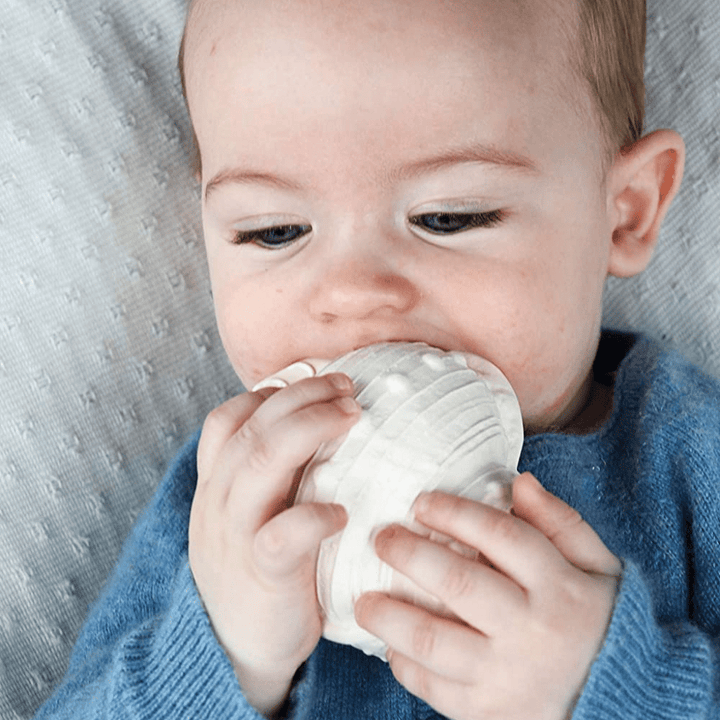 Lanco Karacola Whelk Shell Natural Rubber Teether - Naked Baby Eco Boutique