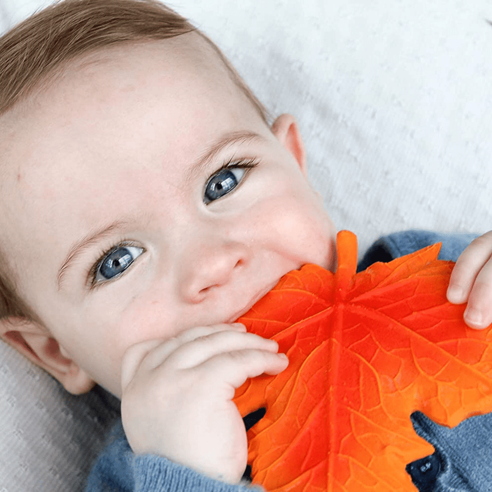 Lanco Maple Leaf Natural Rubber Teether - Naked Baby Eco Boutique