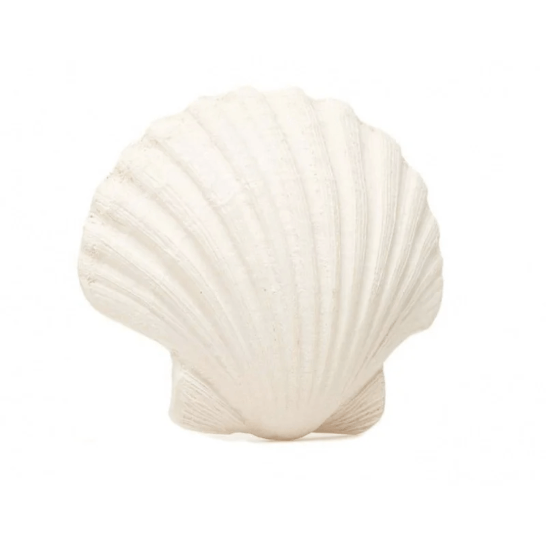 Lanco-Scallop-Shell-Natural-Rubber-Teether-Naked-Baby-Eco-Boutique