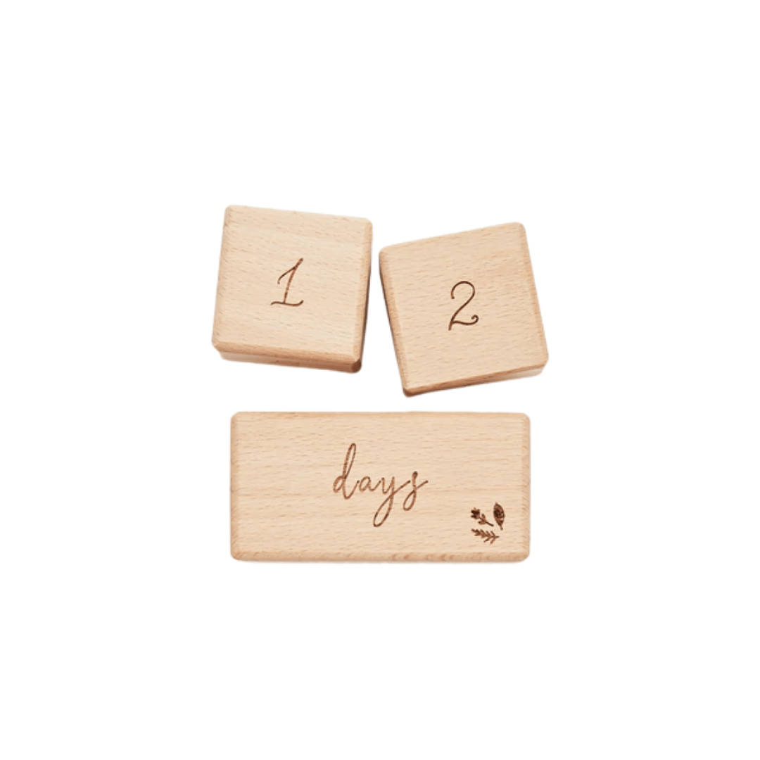 Over-The-Dandelions-Milestone-Wooden-Block-Set-Days-Naked-Baby-Eco-Boutique