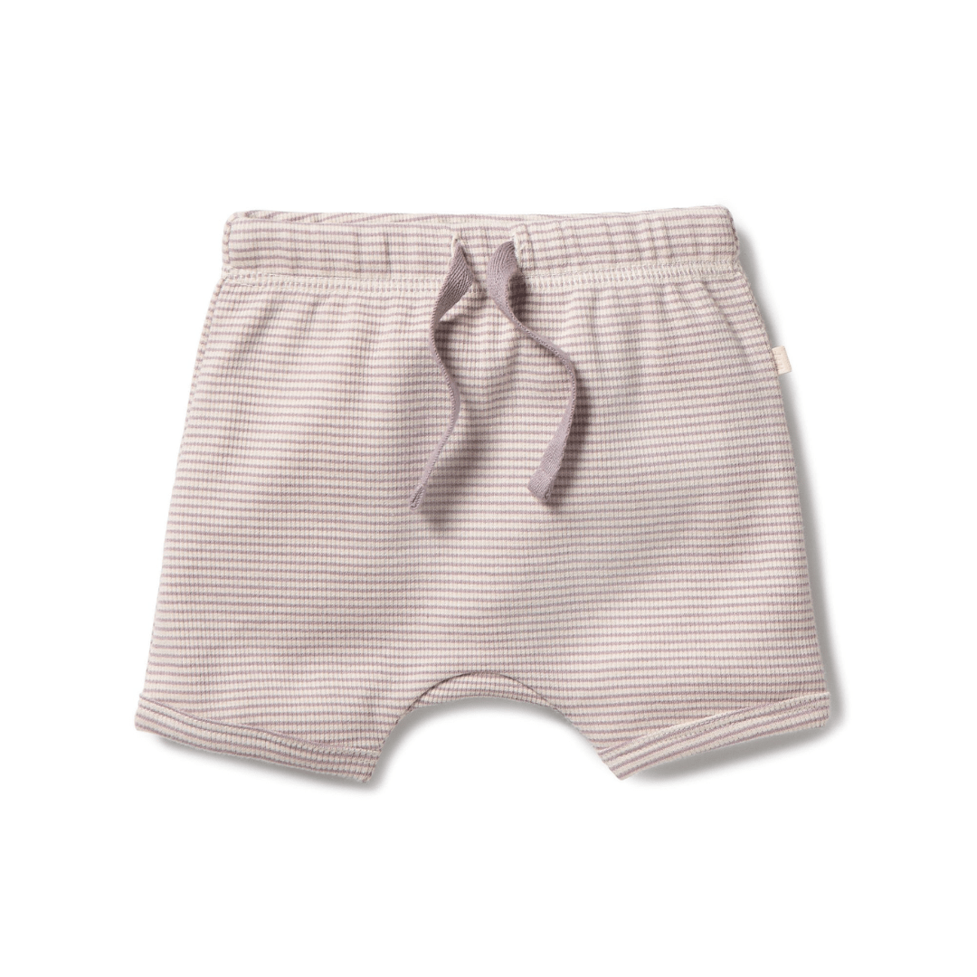 Wilson-And-Frenchy-Organic-Rib-Stripe-Shorts-Plum-Stripe-Naked-Baby-Eco-Boutique