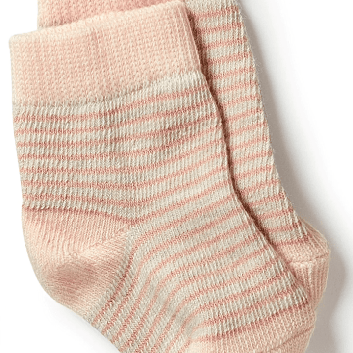 Wilson-and-Frenchy-Organic-Cotton-Baby-Socks-3-Pack-Shell-Naked-Baby-Eco-Boutique