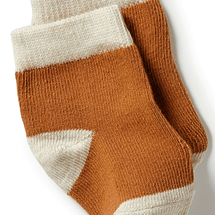 Wilson-and-Frenchy-Organic-Cotton-Baby-Socks-3-Pack-Spice-Naked-Baby-Eco-Boutique
