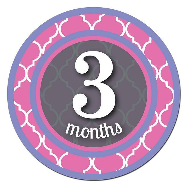 Sticky Bellies Milestone Stickers - Patterned Princess - Naked Baby Eco Boutique