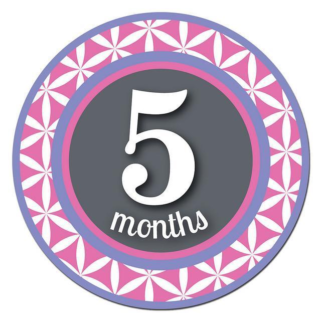 Sticky Bellies Milestone Stickers - Patterned Princess - Naked Baby Eco Boutique